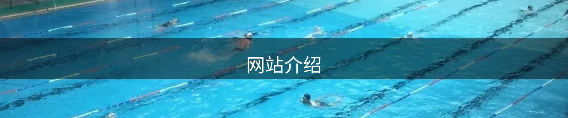 网站介绍